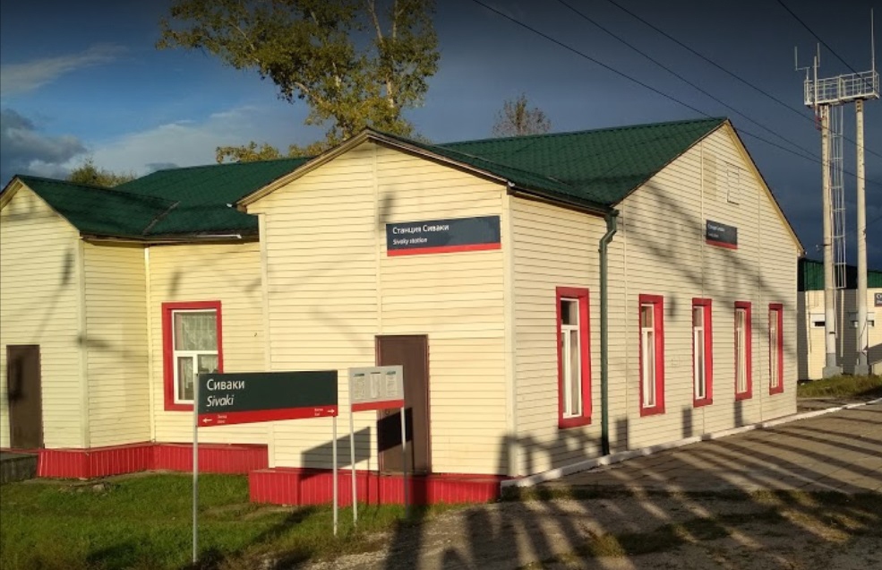 Jānis Grasis aicina sabiedrību saziedot naudu piemiņas plāksnei Sivaku stacijā, lai iemūžinātu izsūtīto personu piemiņu, kas tika izvestas no Gulbenes stacijas.
Autors: no personiskā arhīva