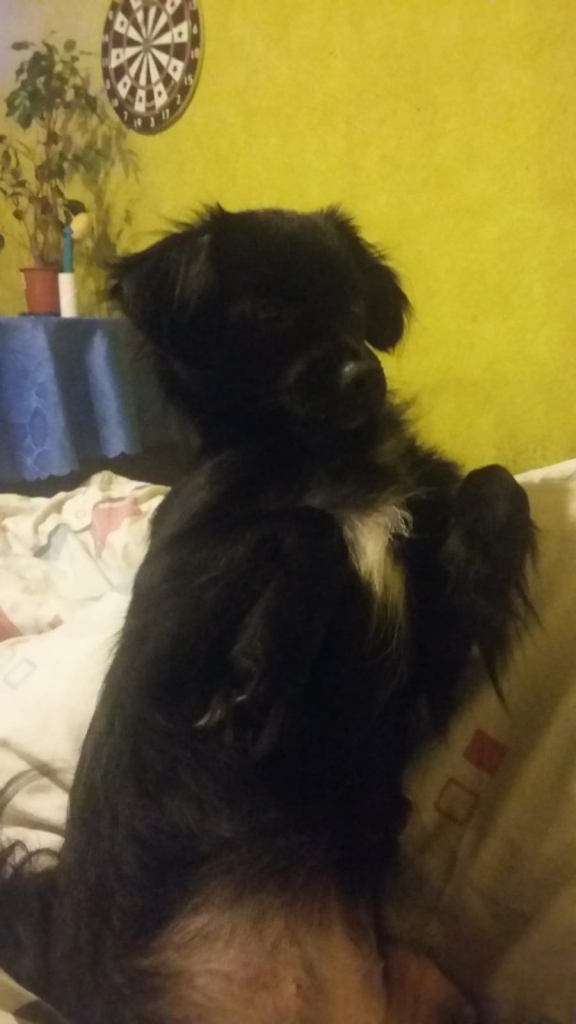 Autors: no personiskā arhīva