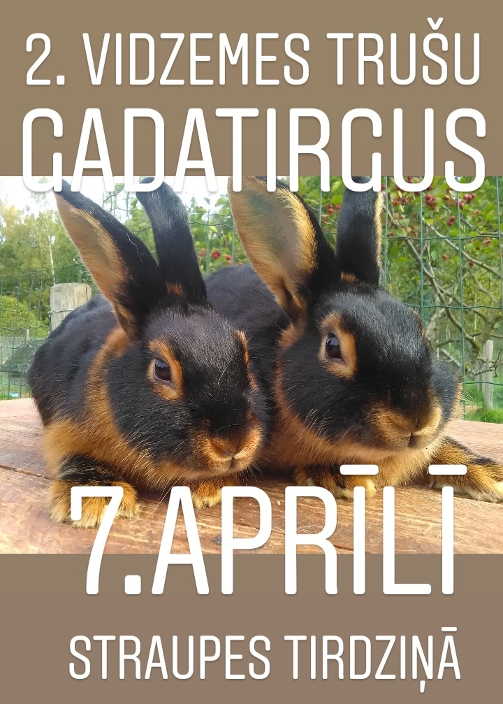 Autors: www.trusis.lv