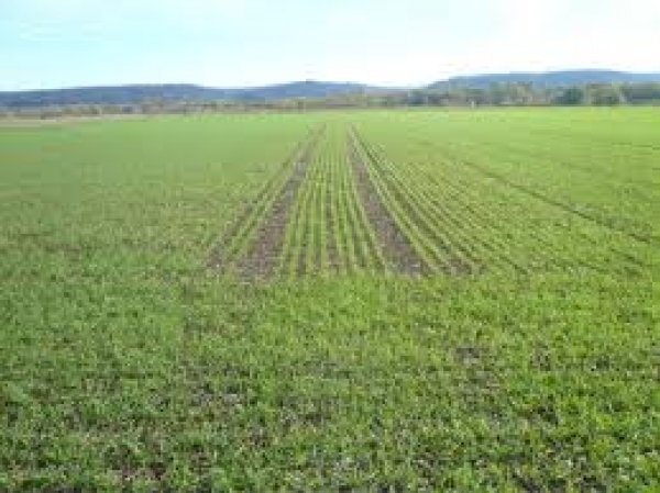 Autors: ilustratīvs foto