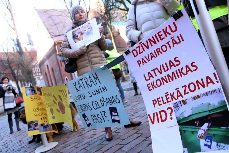 Autors: Foto: Karīna Miezāja 