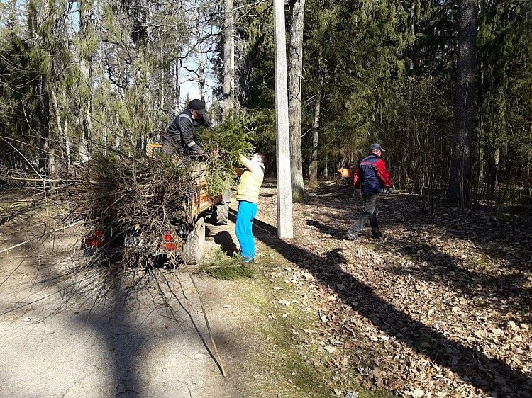 Aluksniesiem.lv raksta attēla aizvietotājs