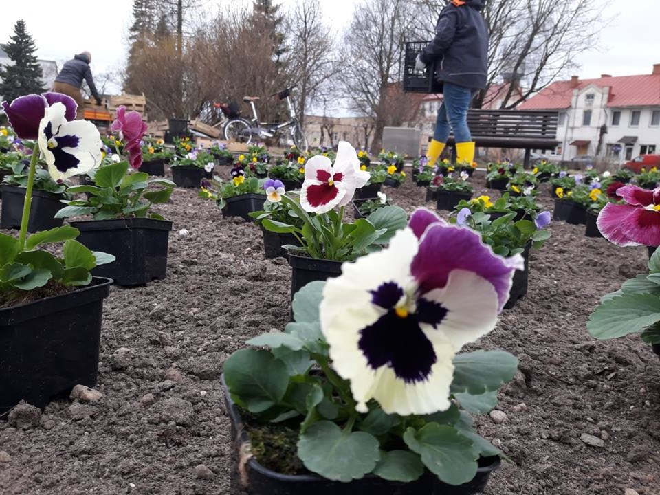 Autors: Gulbenes novads (facebook.com)