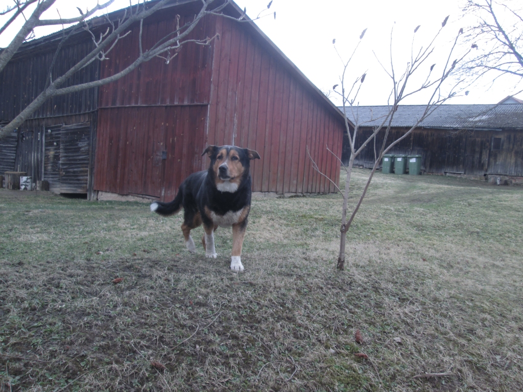 Autors: no Iras Žeigures arhīva