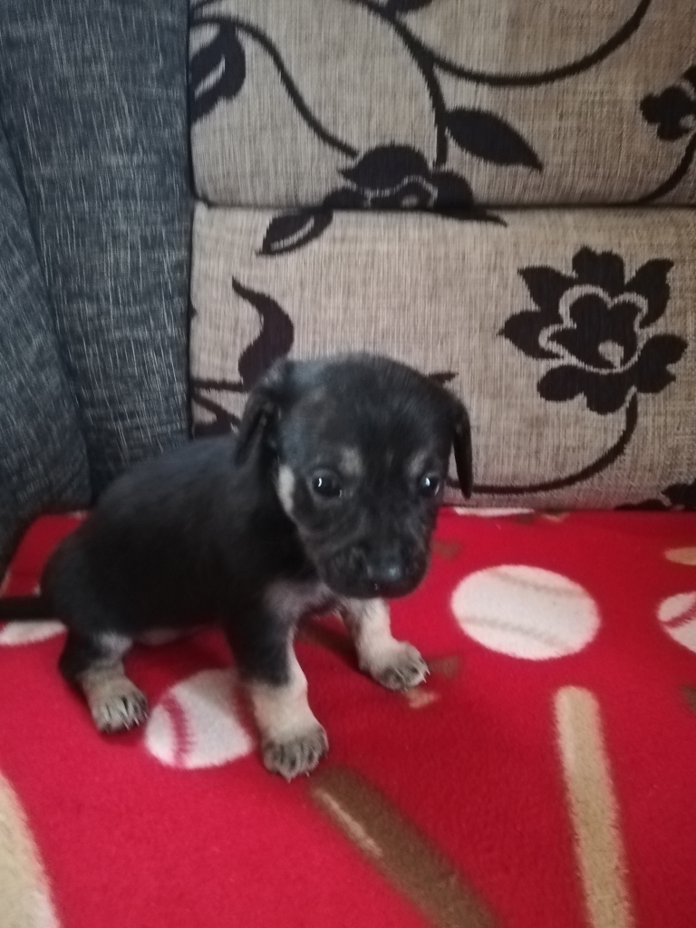 Autors: no Iras Žeigures arhīva