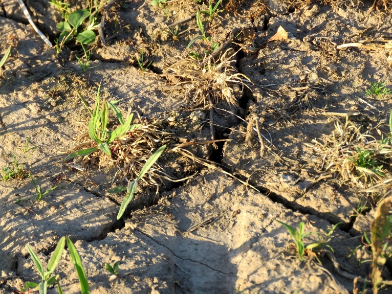 Autors: meteolapa.lv