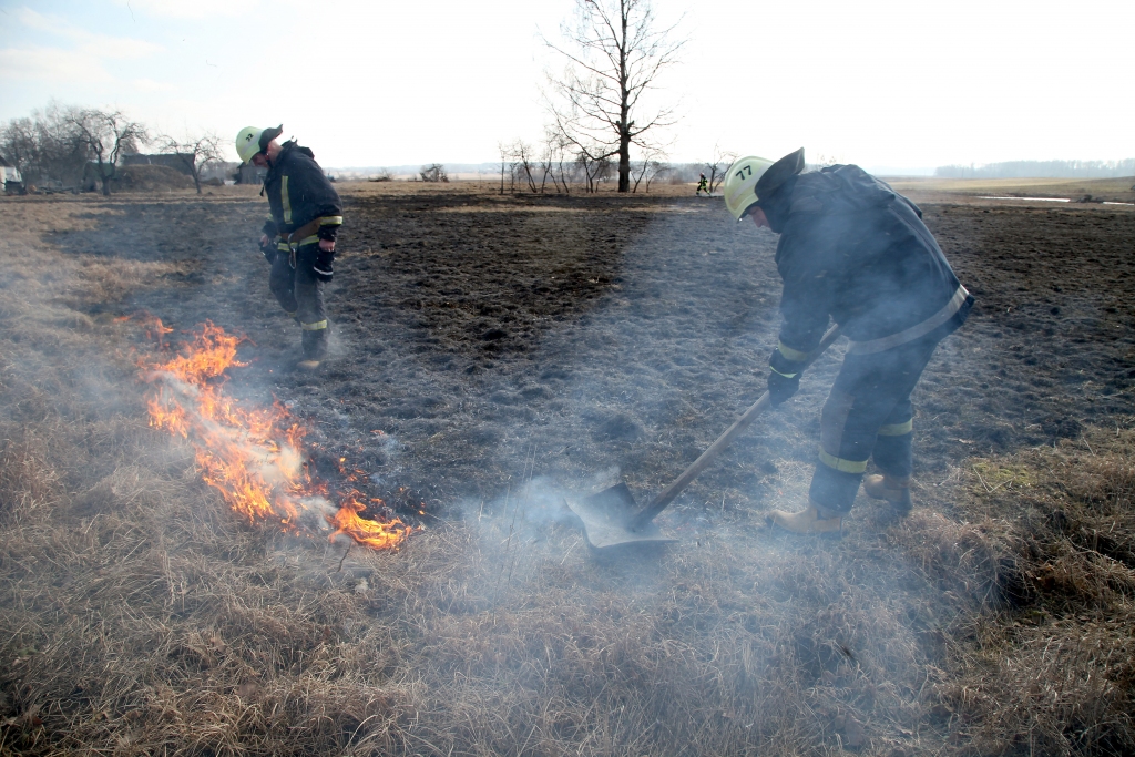 Autors: no Dzirksteles arhīva
