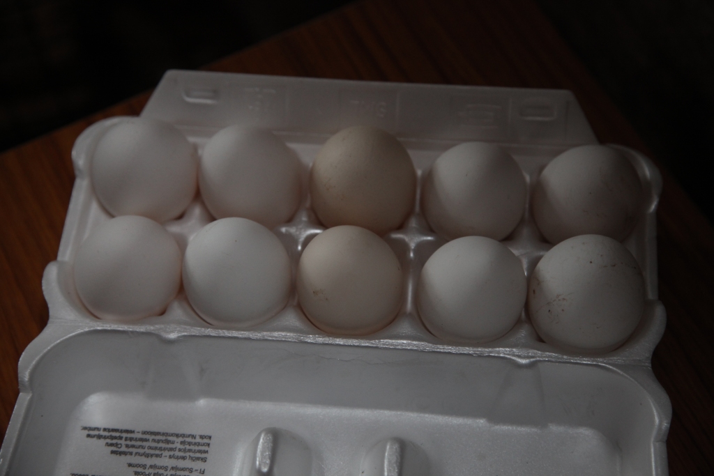 Autors: no “Dzirksteles” arhīva