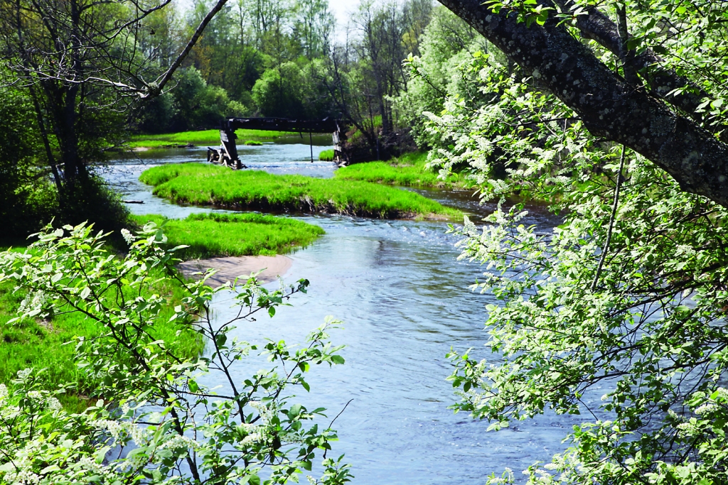 Autors: no “Dzirksteles” arhīva