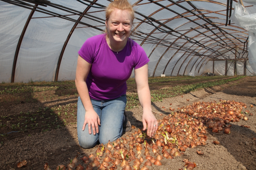 Gundega Sebre gatavojas stādīt sīpolus, lai būtu atkal svaigi loki. 	
Autors: Gatis Bogdanovs