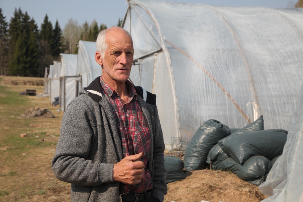 Guntars Sebris ir pieredzējis dārzkopis. Viņš apliecina – vajadzīgs fanātisms, lai izaudzētu bagātu ražu. 
Autors: Gatis Bogdanovs