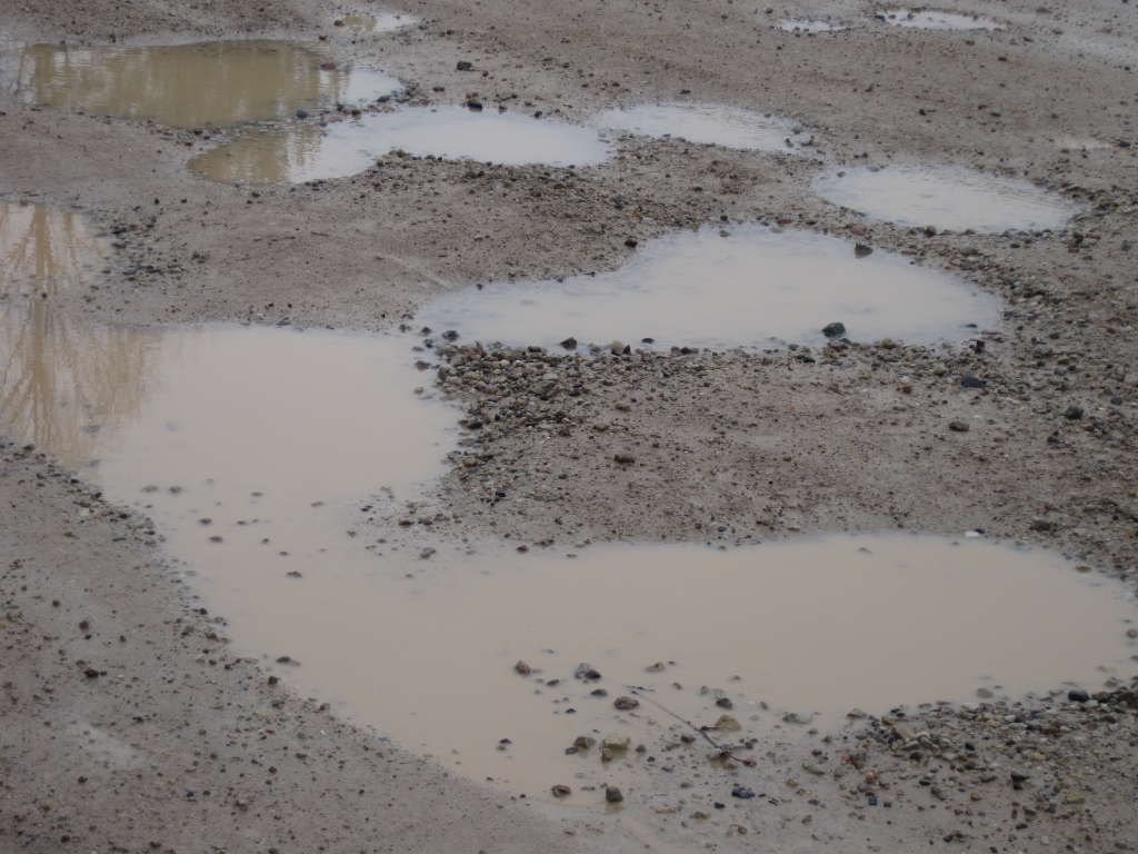 Autors: ilustratīvs foto