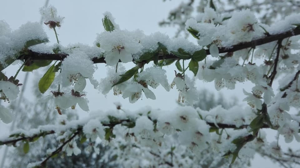 3.maija rīts Naukšēnos.
Autors: Baiba Dālberga (facebook.com)