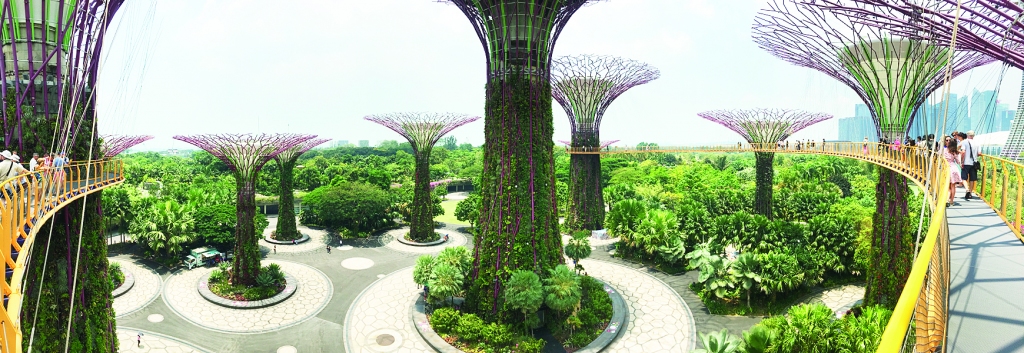 Skats no Līča dārzu Mākoņu meža.
Autors: Laura Pāvila