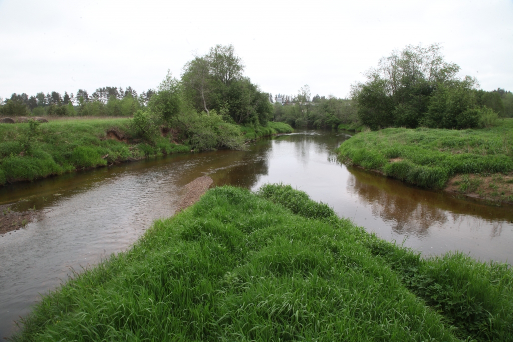 Unikāla vieta - Gauja un Tirza saplūst kopā. Ir patīkami te uzturēties. “Dzirkstele” pamanīja arī garām aizpeldam aptuveni pusotru kilogramu lielu foreli. “Interesanti. ka vasarā, kad ir mazūdens periods, Tirza barojas pārsvarā no gruntsūdeņiem, bet Gaujai – vairāk ezeru ūdeņi. Tad ūdens Tirzā ir vēsāks nekā Gaujā. Ziemā ir otrādi - Tirza ir siltāka,” stāsta Juris Zaķis. 
Autors: Gatis Bogdanovs