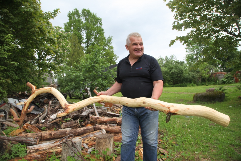 No šī koka gabala Laimonis Lapsa iecerējis uztaisīt tiltiņa margu.  
Autors: Gatis Bogdanovs
