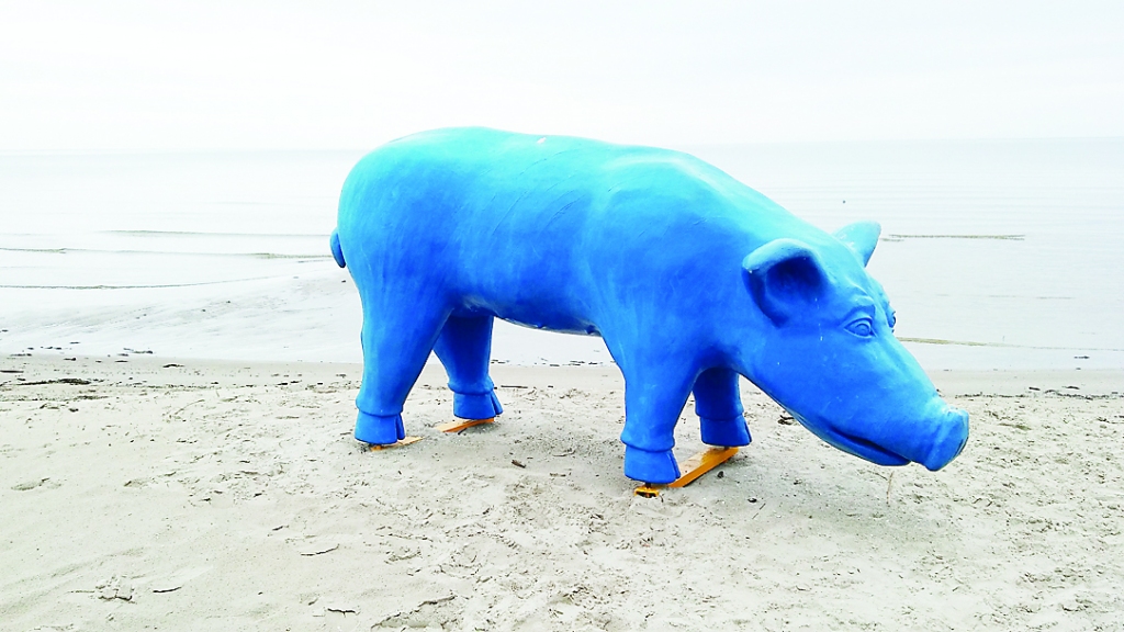 Gar Rojas pludmali ved apgaismota koka laipa. Laternas darbojas no saules un vēja enerģijas. Rojas pludmalē vasaras sezonā sastapsiet “Zilo cerību sivēnu”. Informatīvais stends veidots arī Braila rakstā, ir pieejama pludmales taktilā karte.
Autors: Pārsla Konrāde