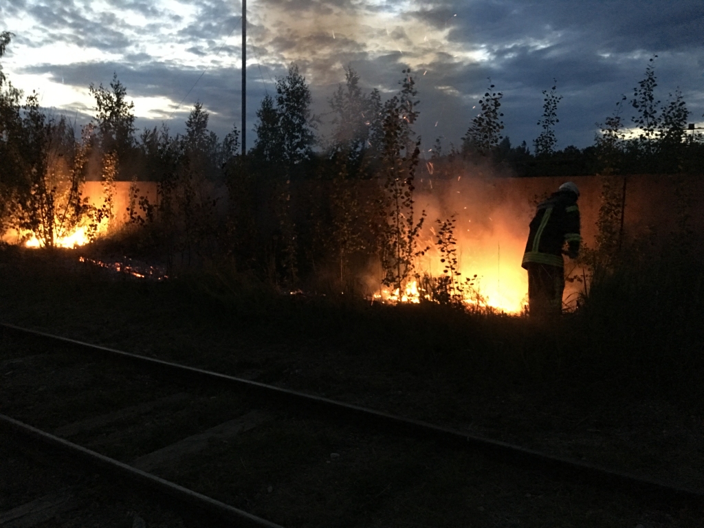 Autors: Diāna Odumiņa