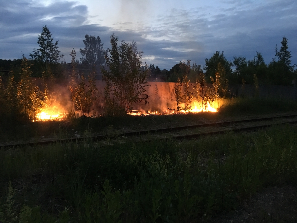 Autors: Diāna Odumiņa