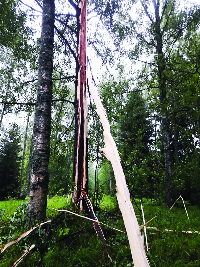 Apse Stāmerienā pēc zibens spēriena 12.jūnija naktī. 
Autors:  Ilona Rudzīte