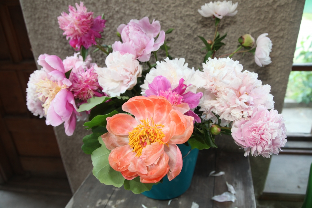 Autors: Inita Savicka