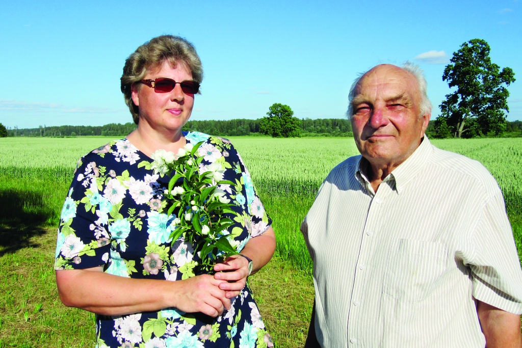 Vasaras saulgriežos, kas Līgai Vaskai ir dubulti svētki, bet tēvam Jānim Vaskim pat trīskārši svētki, viņiem par vainagu vīšanu nav jādomā. Vainagus gaviļniekiem pin un galvā liek līgotāji, kas ar dziesmām ierodas “Oliņu” pagalmā. 	
Autors:  Inese Indzere