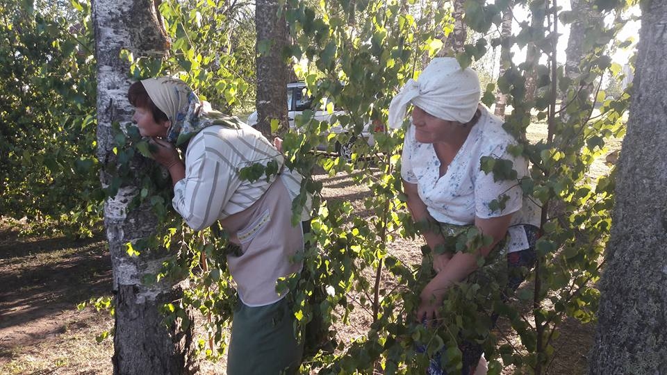 Autors: Ginta Alberte