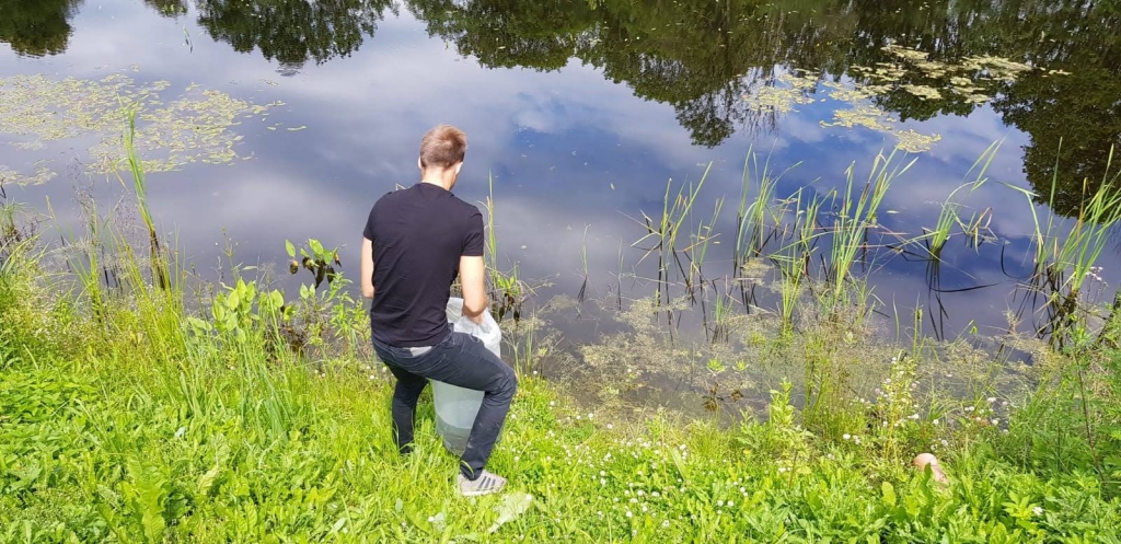 Kalnienas centra dīķī ir ielaisti baltie amūri, jo šīs zivis palīdz cīņā pret ūdenstilpju aizaugšanu. Baltais amūrs pamatā pārtiek no niedru un meldru jaunajiem dzinumiem, koku un krūmu lapām.	
Autors: Facebook.com