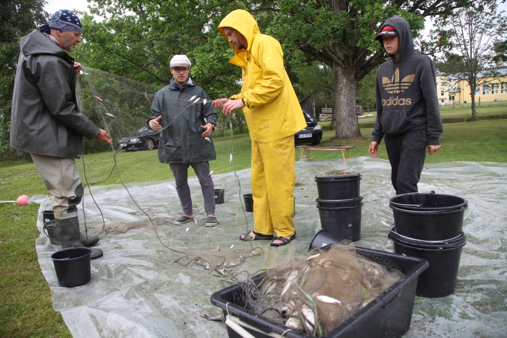 Pēc Gulbenes novada pašvaldības iniciatīvas šonedēļ notiek projekta „Gulbenes novada publisko ūdeņu apsaimniekošanas plāna izstrāde” aktivitātes. Tajā piedalās Vides risinājumu institūta pētnieki, pašvaldību pārstāvji, vides inspektori un visi interesenti, kuri vēlas apzināt konkrēto ūdenstilpju ekoloģisko situāciju un ir ieinteresēti to resursu uzturēšanā un saglabāšanā. Pēc kontrolzvejas Sudala ezerā vides institūta pētnieki kopā ar palīgiem noķertās zivis sadalīja pa sugām, svēra, pētīja to zvīņas un skeletus, pēc kā var noteikt to vecumu un attīstību, kā arī detalizēti analizēja zivju kuņģu saturu, lai precīzi noteiktu to barošanās paradumus. 	
Autors: Gatis Bogdanovs