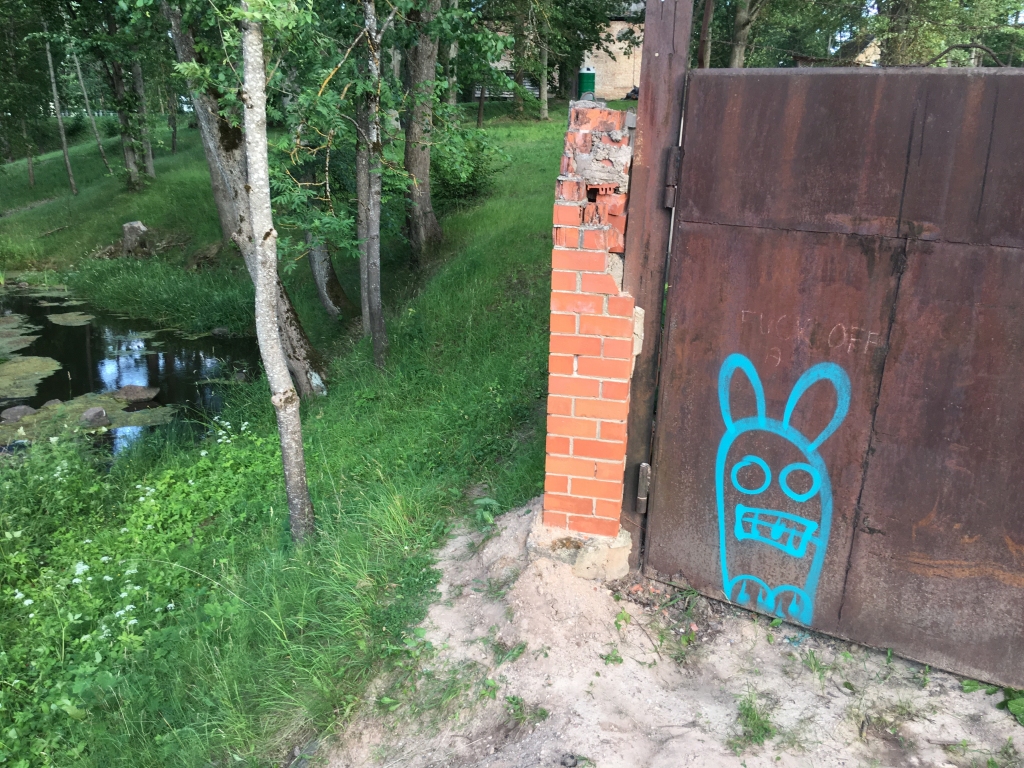 Ar uzrakstiem un zīmējumiem ir apķēpāta Dzirnavu iela. Tādā veidā cietusi bijušā alus brūža sēta, kā arī ielas asfaltsegums. Kādam tas liekas nemanāmi, citam - jautri, vēl citam – aizskaroši. Šāds zīmējums viennozīmīgi ir administratīvs pārkāpums. 	
Autors: Diāna Odumiņa