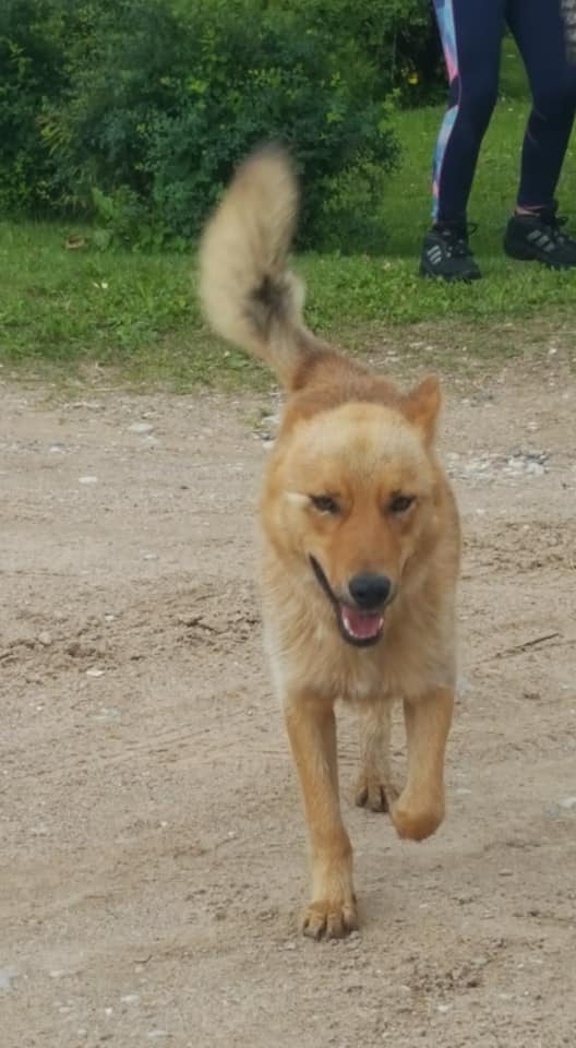 Autors: no privāta arhīva