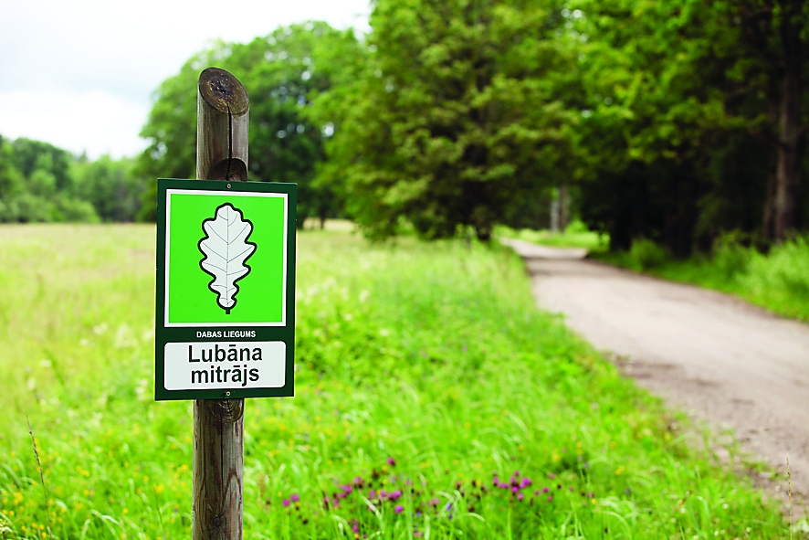 Autors: Gatis Bogdanovs