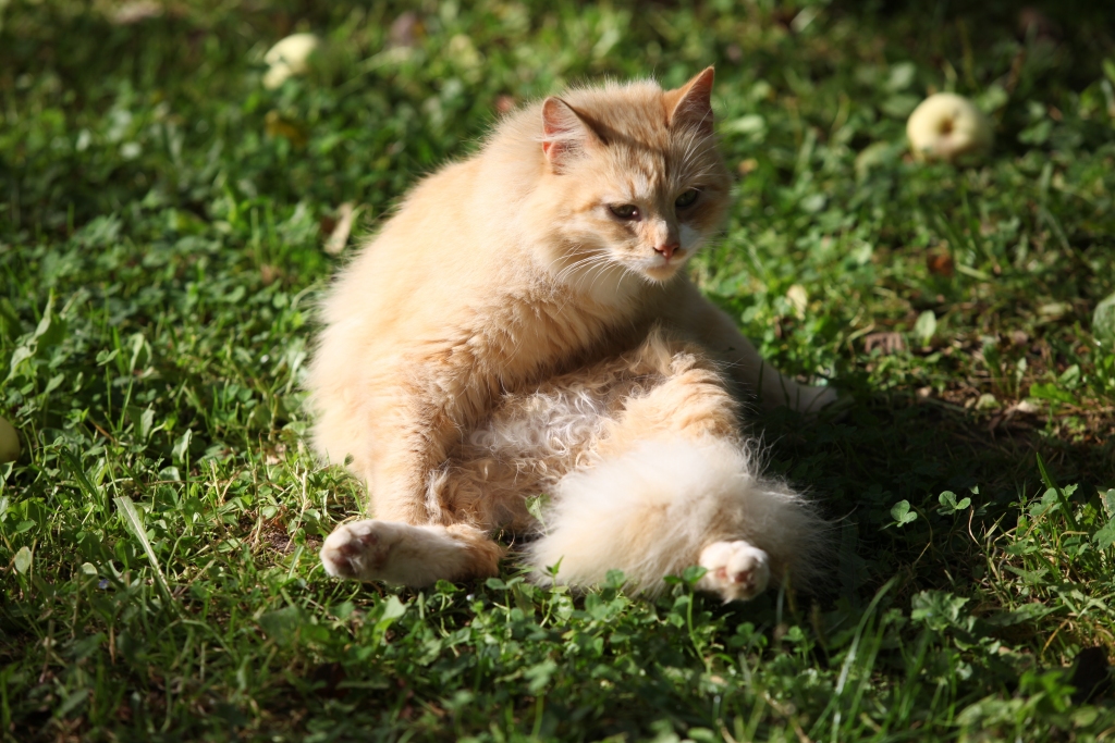 Ilustratīvs foto
Autors: no 