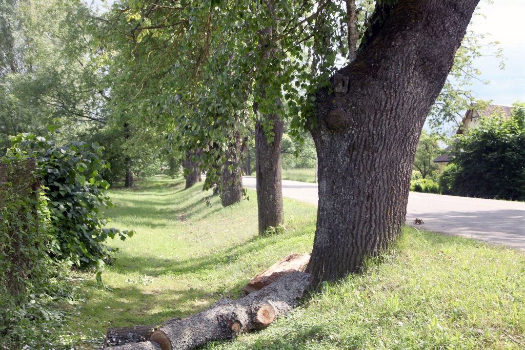 Autors: Gatis Bogdanovs