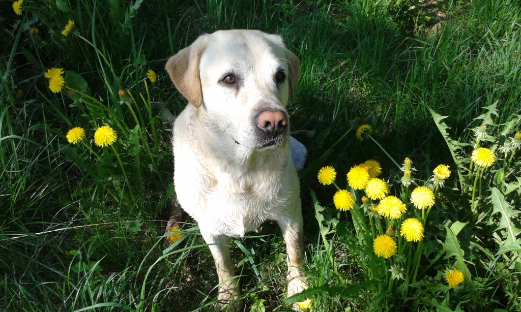 Autors: no privāta arhīva