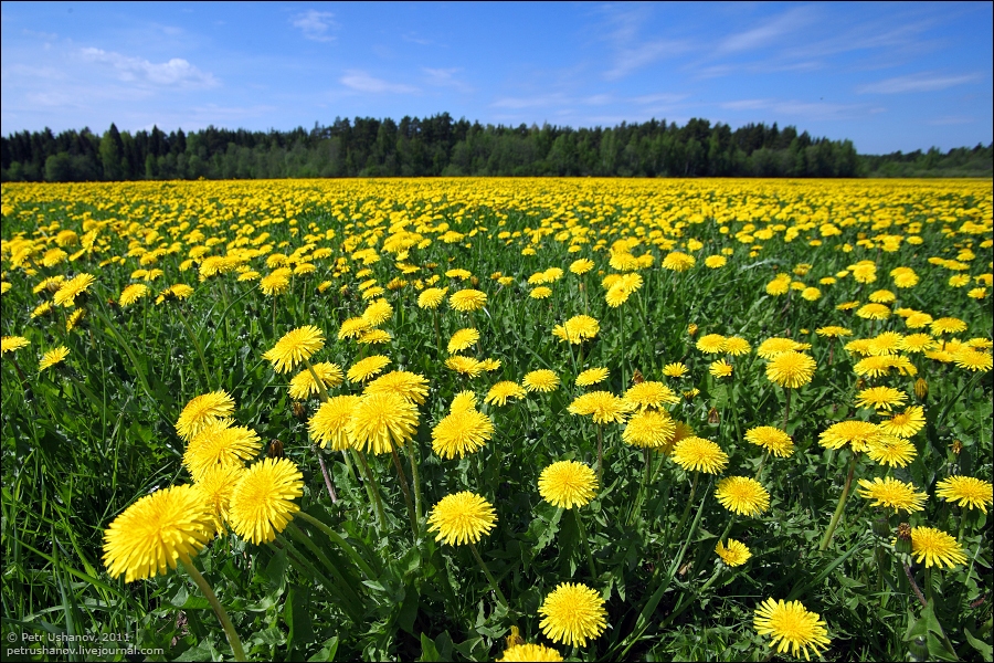 Autors: Iveta Krūmiņa 