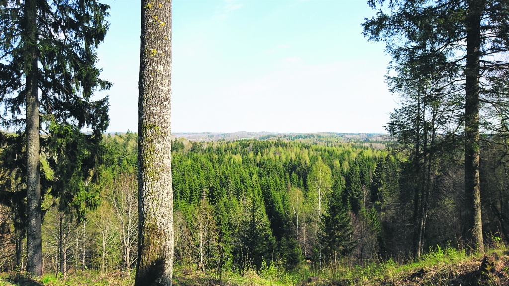 Autors: Eva Pričiņa