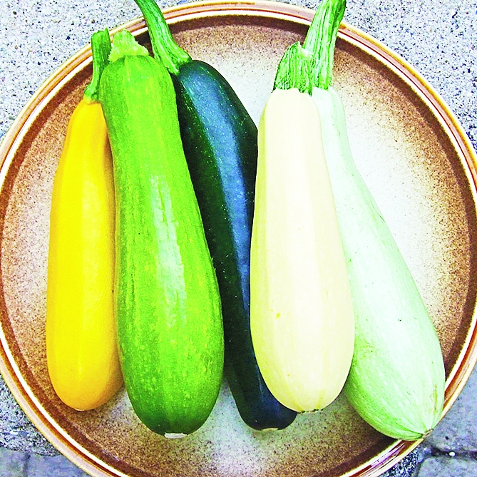 Autors: Liene Andersone-Kolosova