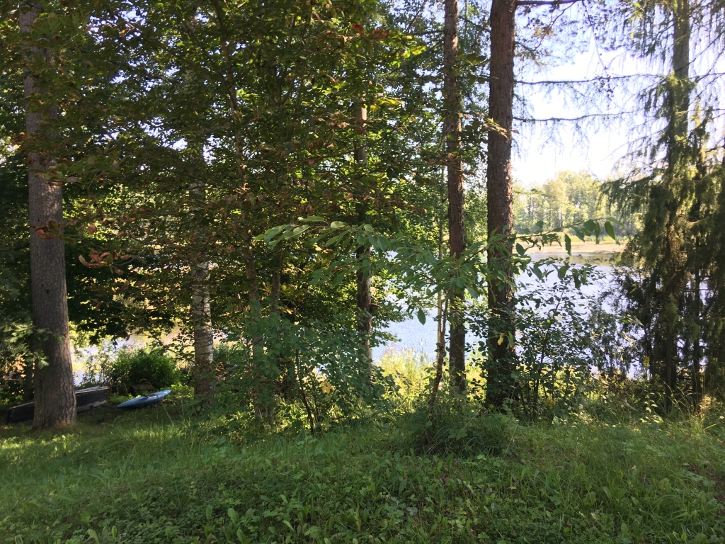 Autors: Diāna Odumiņa