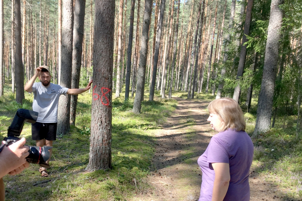 Jaungulbenes “Sila” (attēlā) faktiskais ieguvējs - “Silvestica Green Forest AB”. To 2017.gadā nodibināja SEB, Hesselmanska fonds un CRK. Uzņēmuma mājaslapā teikts, ka strādā sociāli atbildīgi un saskaņā ar FSC un PEFC meža sertifikācijas sistēmām.   
Autors: Diāna Odumiņa 