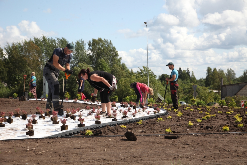 Zaļā rota, nevis kāds zīmīgs vides objekts centrā. Šādu risinājumu Brīvības ielas rotācijas aplim ir  izvēlējusies Gulbenes novada pašvaldība. Darbi tuvojas beigām. 
Autors: Gatis Bogdanovs