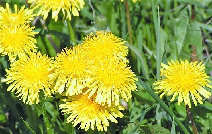 Autors: Iveta Krūmiņa