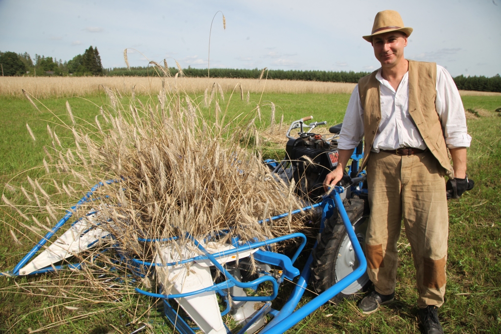 Jānis Pūcītis labprāt parāda interesentiem pļāvēju – kūlīšu sējēju. Pamanot rudzu laukā šīs ierīces darbu, piestāj ne viens vien, lai redzētu, kā un kāpēc top kūlīši.  
Autors: Gatis Bogdanovs