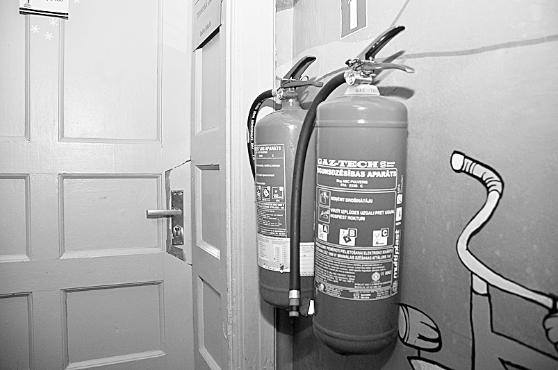 Autors: DAINIS ĢELZIS