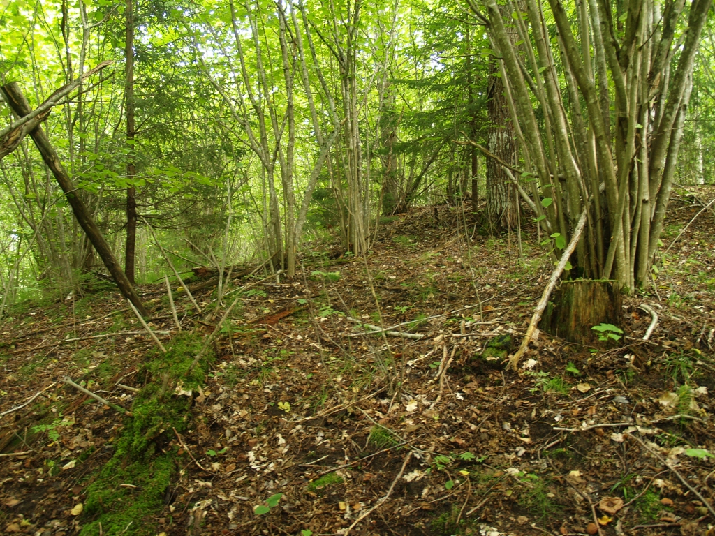Pie jaunā Jaunķempju pilskalna, ja vien zina, kur tas ir, piekļūt var ļoti vienkārši.  	
Autors: no personiskā arhīva