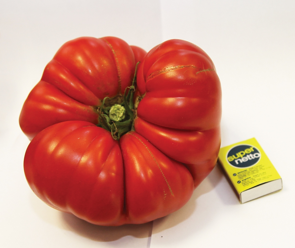 Autors: Gatis Bogdanovs