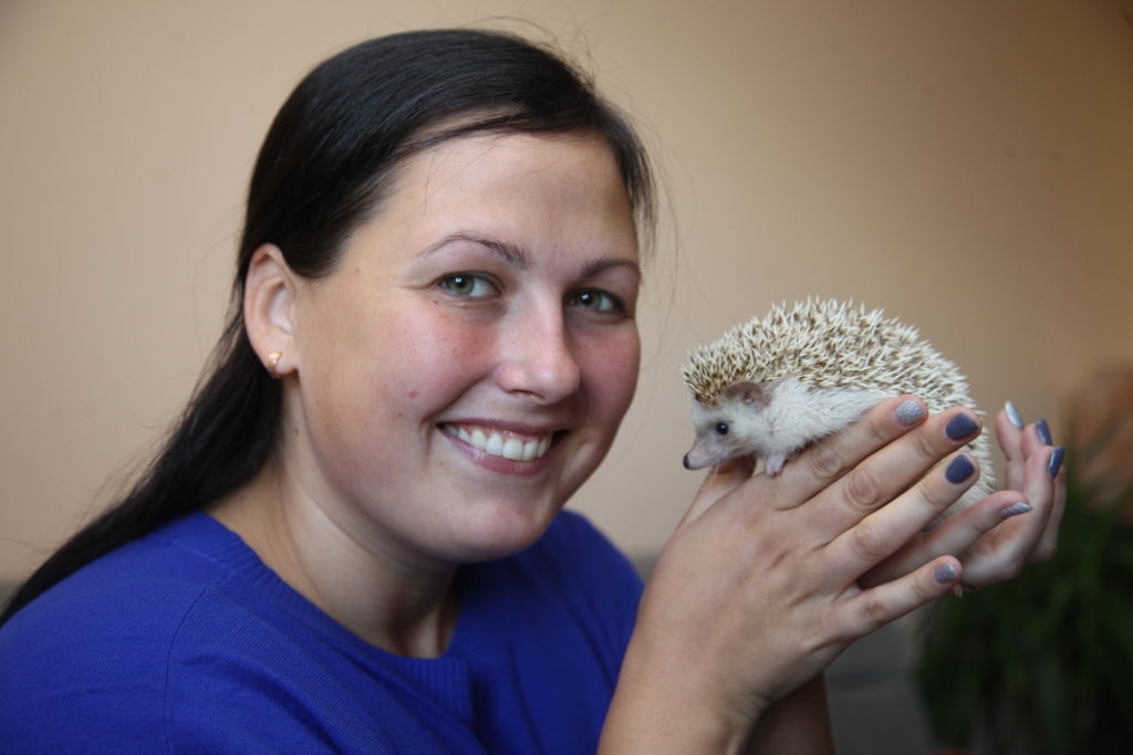 Ieva Smoļina stāsta, ka ģimenes mīlulis Āfrikas ezis, kuram dots vārds Bobs, pēc rakstura ir ļoti mierīgs un arī bailīgs. Viņš ir dzimis 2017.gada 29.jūlijā, un Boba vecāki ir no Igaunijas. 
Autors: Gatis Bogdanovs