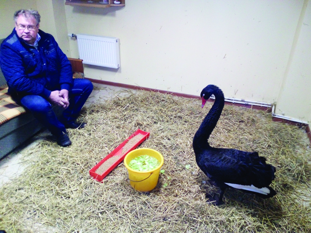 Autors: no “Dzirksteles” arhīva