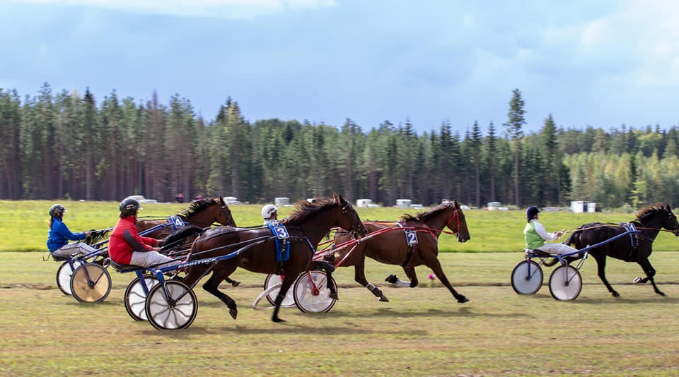 Autors:  Inese Grizāne