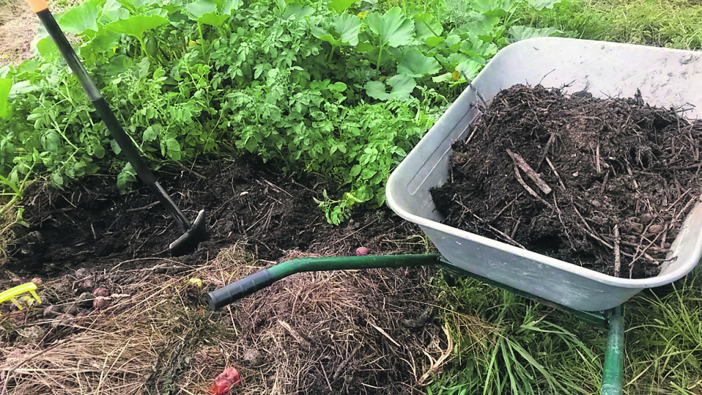 1. solis: Iekraujam ķerrā kaudzē sakrāto kompostu. Ja apjomi lielāki, vajadzīgs  traktors vai iekrāvējs.

Autors: no personiskā arhīva